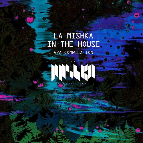 VA - La Mishka in the House (DJ Edition) [LMKA231]